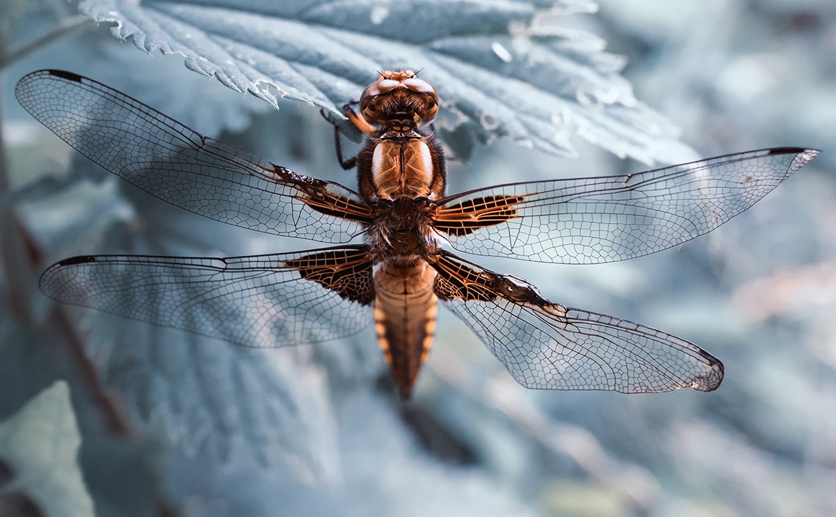 Leading brands of the world trust us in their projects